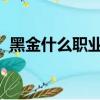黑金什么職業好玩（黑金OL好玩職業介紹）