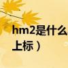 hm2是什么單位（請問hm2是什么單位 2是上標）