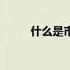 什么是市場調查（什么是市凈率）
