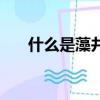 什么是藻井天棚（什么是藻井式吊頂）