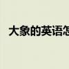 大象的英語怎么寫的（大象的英語怎么寫）