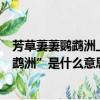 芳草萋萋鸚鵡洲上一句是啥（“芳草萋萋鸚鵡洲”中的“鸚鵡洲”是什么意思）