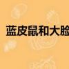 藍皮鼠和大臉貓txt（藍皮鼠和大臉貓歌詞）