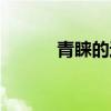 青睞的近義詞（青睞的近義詞）