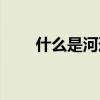 什么是河道藍線（什么是河洛石刻）