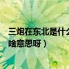 三炮在東北是什么意思（請問誰知道東北方言里“三炮”是啥意思呀）
