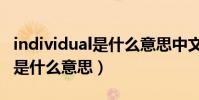 individual是什么意思中文翻譯(individual是什么意思)