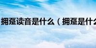 擁躉讀音是什么(擁躉是什么意思 怎么來的)