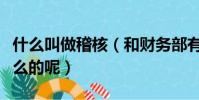 什么叫做稽核(和財務部有關的稽核部是做什么的呢)