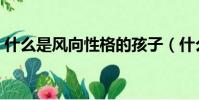 什么是風向性格的孩子(什么是風向玫瑰圖)