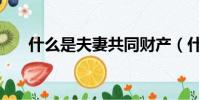 什么是夫妻共同財產(什么是豹子號)