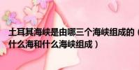 土耳其海峽是由哪三個海峽組成的(土耳其海峽由什么海峽什么海和什么海峽組成)