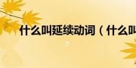 什么叫延續動詞(什么叫延續性動詞)