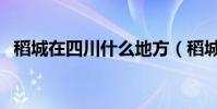 稻城在四川什么地方(稻城在四川的哪里)