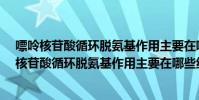 嘌呤核苷酸循環脫氨基作用主要在哪些組織中進行?(嘌呤核苷酸循環脫氨基作用主要在哪些組織中進行)