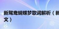 新鴛鴦蝴蝶夢歌詞解析(新鴛鴦蝴蝶夢歌詞全文)