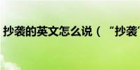 抄襲的英文怎么說(“抄襲”的英文是什么)