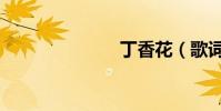 丁香花(歌詞)