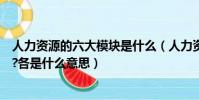 人力資源的六大模塊是什么(人力資源管理六大模塊是什么?各是什么意思)