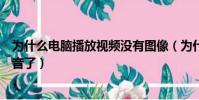 為什么電腦播放視頻沒有圖像(為什么電腦播放視頻沒有聲音了)