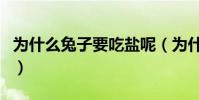 為什么兔子要吃鹽呢(為什么兔子要吃胡蘿卜)