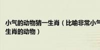 小氣的動物猜一生肖(比喻非常小氣,一毛不拔的是什么十二生肖的動物)