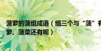 菠蘿的菠組成語(組三個與“菠”有關的詞語我想出兩個菠蘿、菠菜還有呢)