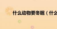 什么動物要冬眠(什么動物冬眠)