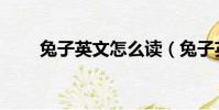 兔子英文怎么讀(兔子英文怎么讀)