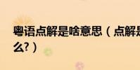 粵語點解是啥意思(點解是什么意思,廣東話么?)