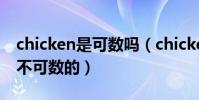 chicken是可數嗎(chicken到底是可數還是不可數的)