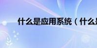 什么是應用系統(什么是應用文啊)