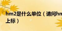 hm2是什么單位(請問hm2是什么單位 2是上標)