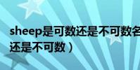 sheep是可數還是不可數名詞(sheep是可數還是不可數)