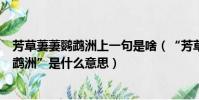 芳草萋萋鸚鵡洲上一句是啥(“芳草萋萋鸚鵡洲”中的“鸚鵡洲”是什么意思)