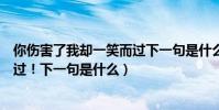 你傷害了我卻一笑而過下一句是什么(你傷害了我卻一笑而過!下一句是什么)