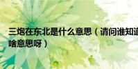 三炮在東北是什么意思(請問誰知道東北方言里“三炮”是啥意思呀)