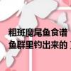 粗斑魔尾魚食譜（粗斑魔尾魚（不是斑點魔尾魚）是不是在魚群里釣出來的）