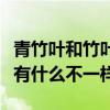 青竹葉和竹葉青一樣嗎（白唇竹葉青與竹葉青有什么不一樣）