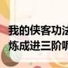 我的俠客功法階級（游戲功夫派三階俠士怎么煉成進三階呢）