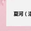夏河（洛洛具體分手原因是什么）