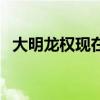 大明龍權現在還可以玩嗎（大明龍權職業）