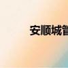 安順城管整頓（安順城管打死人）