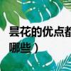 曇花的優點都有哪些（優曇花與曇花的區別有哪些）