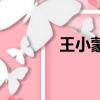 王小蒙（關于王小蒙的簡介）