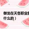 御龍在天各職業屬性怎么加點（御龍在天不同屬性點都是加什么的）