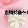 血鱗鯰魚在哪兒釣（血鱗鯰魚在哪里釣?）