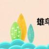 雄鳥（關于雄鳥的簡介）
