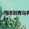 菏澤到青島有多遠（荷澤到青島的硬臥下好不好）
