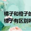 橘子和橙子的英文是一樣的嗎（橙子的英文和橘子有區別嗎）